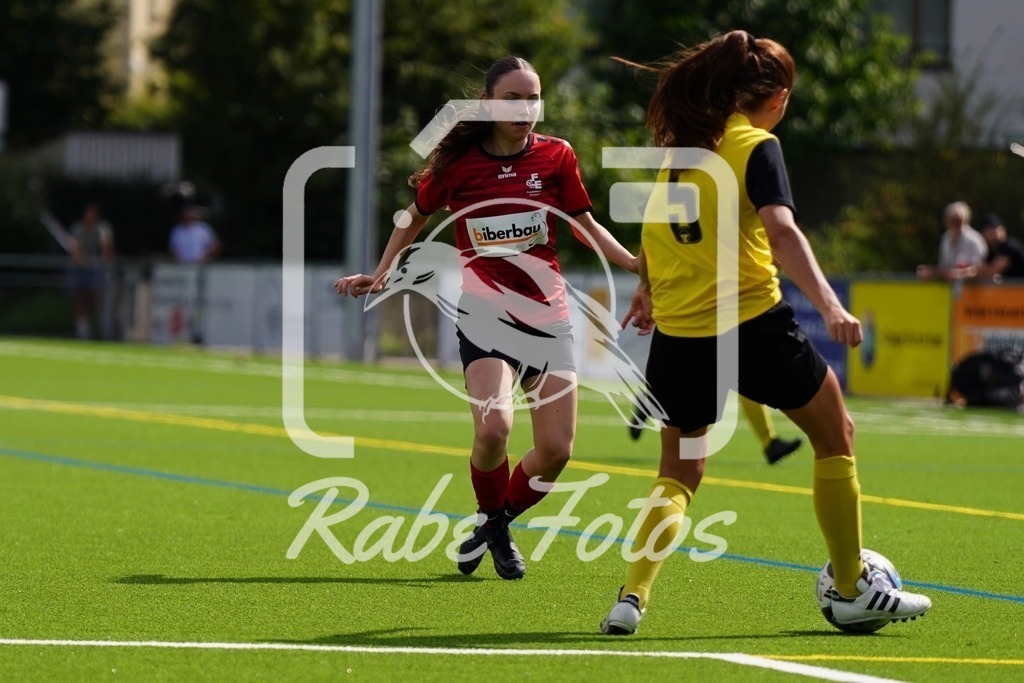 SON08349 | rabefotos