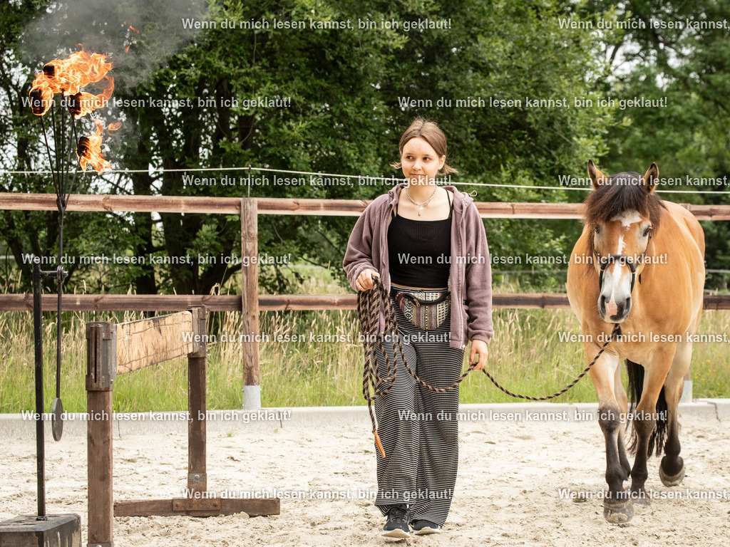 598A6796 | photographylinaismer - Realisiert mit Pictrs.com