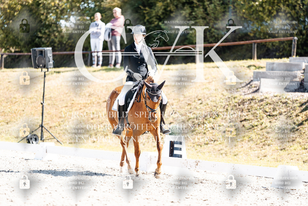 CK903620 | Turnierfotografie Pferdefotografie Trier Rheinland-Pfalz Pferdesport Reitsport Tierfotografie Sportfotografie Pferdevideo Pferdevideografie Equestrianvideography equestrianphotography  - Realisiert mit Pictrs.com