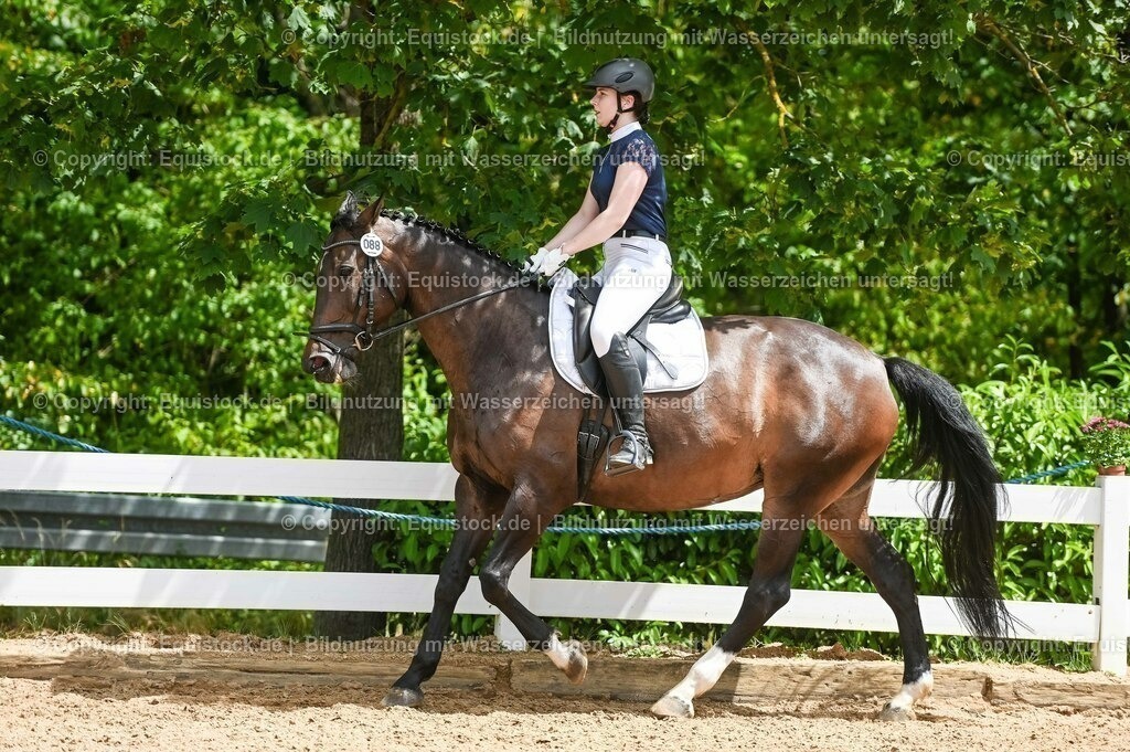 20230715_05_Dressurprüfung Kl.A++_0381 | equistock