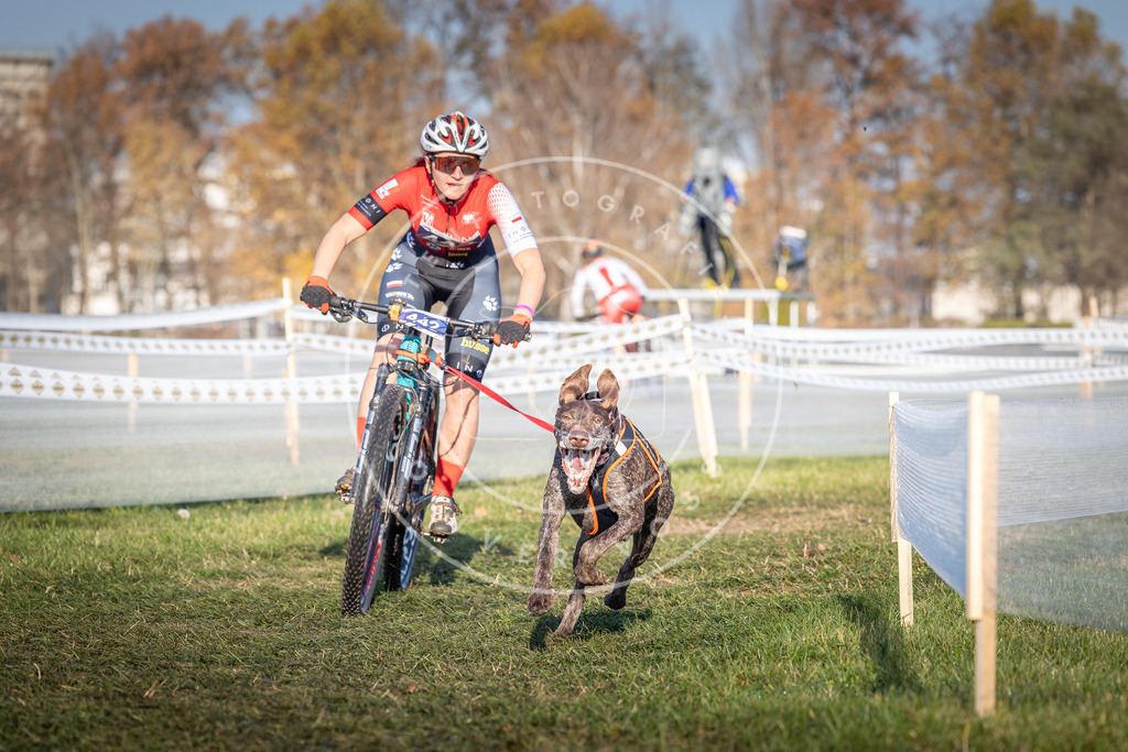 CaniXpix_0L8A4322 | Hundefotografie, Tierfotograf, Pfotenfotografie, Fotoshooting Hund, Hunde Portrait, Hundesport, Hundeportraits, Heideshooting, Hunde, Sportfotograf, Hundefotograf, Turnierhundsport, THS,  - Realisiert mit Pictrs.com