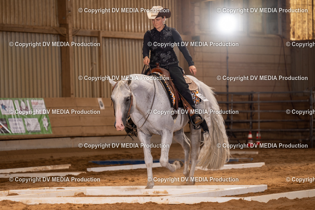 NID00513 | dv-media-shop - Realisiert mit Pictrs.com