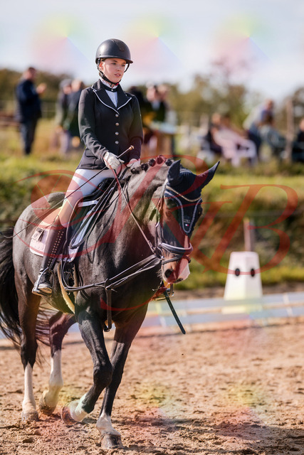 2026_10_03_Siefer-Hof_121342_Z81_14433584 | Professionelle Reitsport-, Turnier- und Eventfotografie von Robert Broda. Galerien mit ausgewählten und bearbeiteten Bildern direkt online ansehen und bestellen.