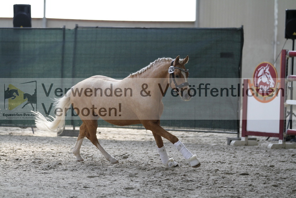 _MG_9745 | equestrian-live-com