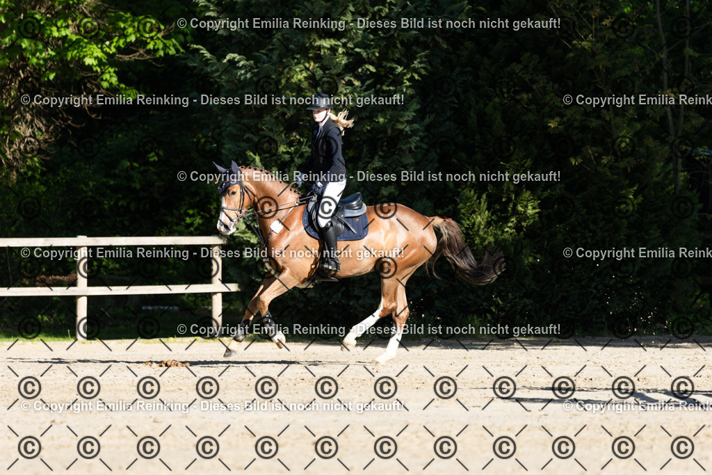 CL5A1563 | Emilia Reinking Fotografie - Realisiert mit Pictrs.com