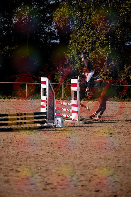 2026_10_03_Siefer-Hof_154341_Z81_61760242 | Professionelle Reitsport-, Turnier- und Eventfotografie von Robert Broda. Galerien mit ausgewählten und bearbeiteten Bildern direkt online ansehen und bestellen.