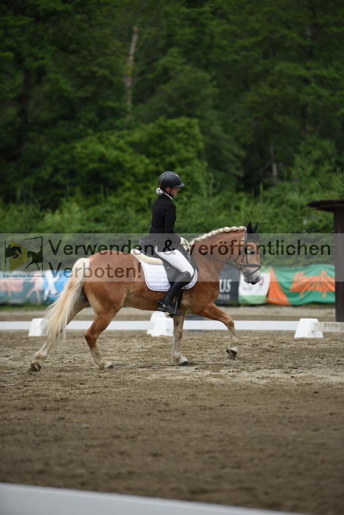 DSC_8203 | equestrian-live-com