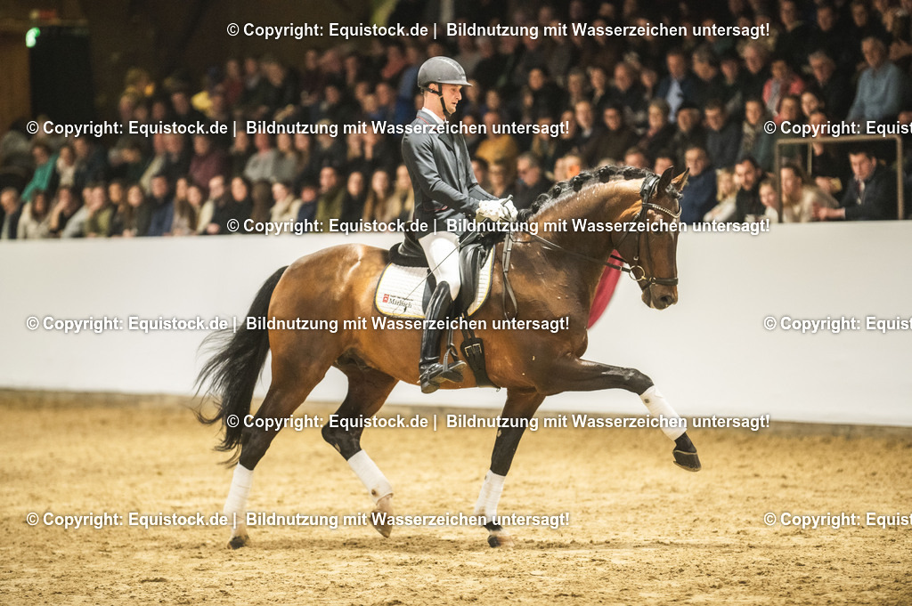 20240302_Hengstvorstellung_Marbach_TOMsPiC_1260 | equistock