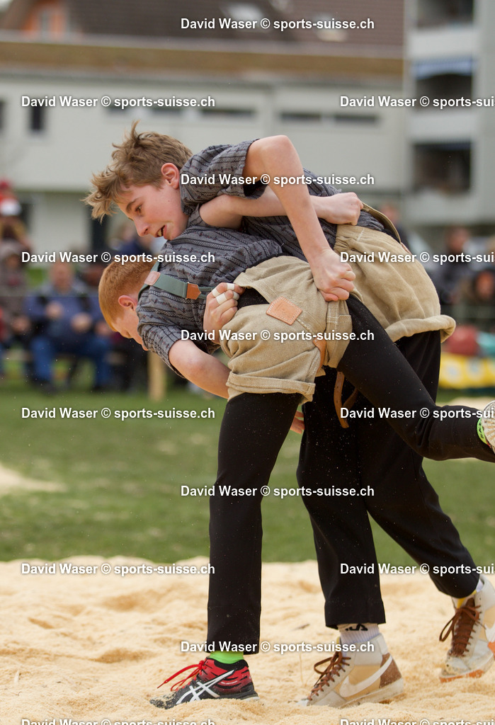 WDAV6612 | sports-suisse.ch
