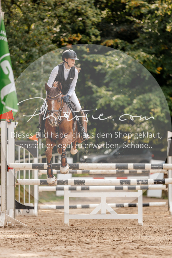 3I6A4599 | Stimmungsvolle Portraits und Reitsportfotografie im Ruhrgebiet und im Münsterland.

Pferdefotografie, Hundefotografie, Tierfotografie, Reportagen, Portraits von Tier und Mensch, Turnierfotografie in Bochum, Recklinghausen, Marl, Haltern am See, Dülmen.. - Realisiert mit Pictrs.com