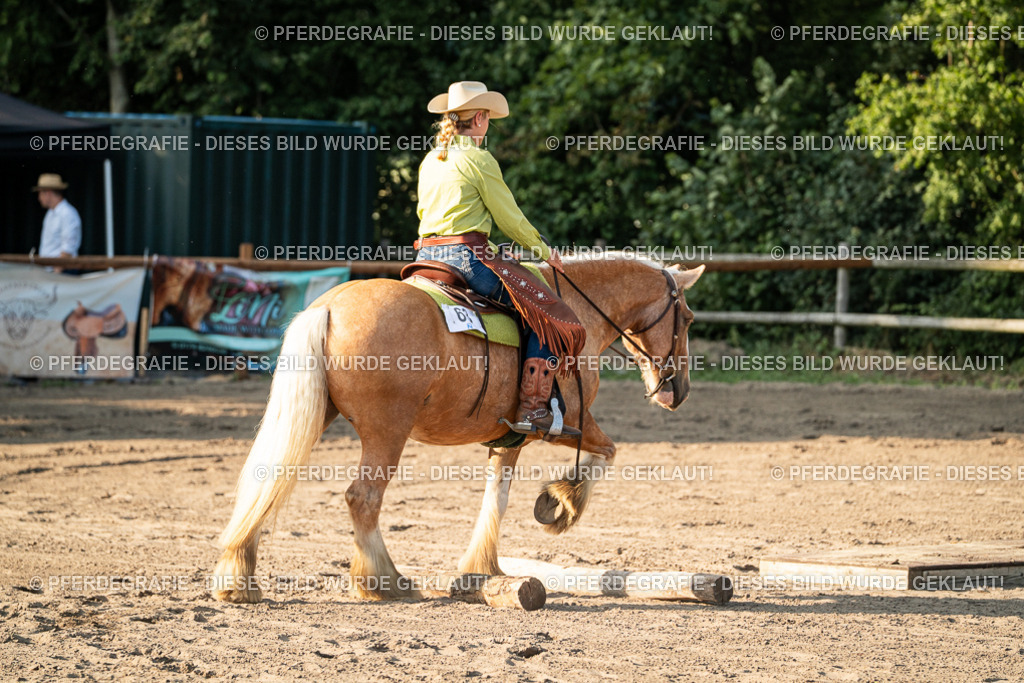 DSC05700 | Pferdegrafie