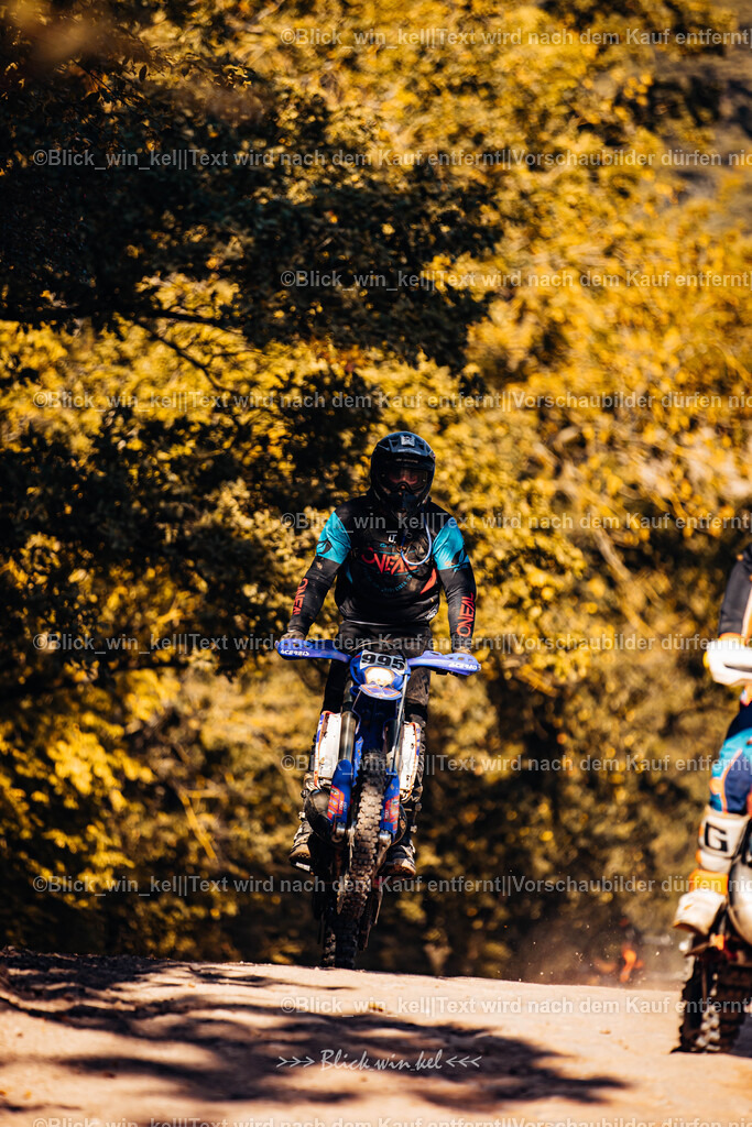 E68A7686 | blick_win_kel