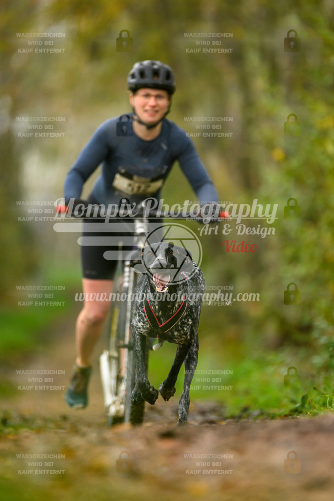 MompixPhotography_20TSB_E6_DS1-24 | PayLife