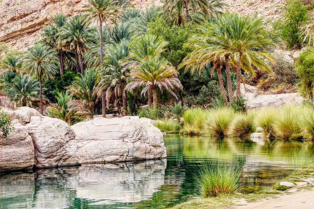 Waadi im Oman | www-pimpup-me - Realisiert mit Pictrs.com