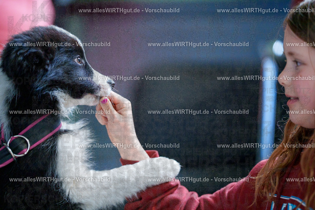 @allesWIRTHgut_Tierfotografie - www.allesWIRTHgut.de - 2604251328-7R503710 | Professionelle Tierfotografie in Mönchengladbach von Daniel Wirth (allesWIRTHgut). Liebevolle & natürliche Bilder von Hunden & Katzen für unvergessliche Erinnerungen.