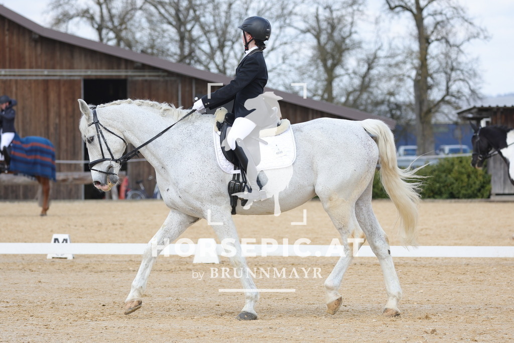 0P6A6498 | Willkommen bei Brunnmayr - Design & Fotografie – Ihrem Spezialisten für Reitturniere und Pferdeveranstaltungen in Oberösterreich, Salzburg und Bayern! Seit über 17 Jahren sind wir leidenschaftlich dabei.