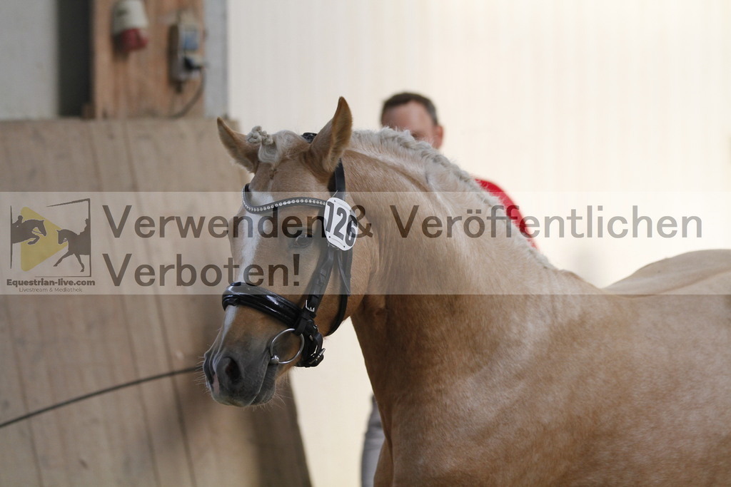 _MG_9740 | equestrian-live-com