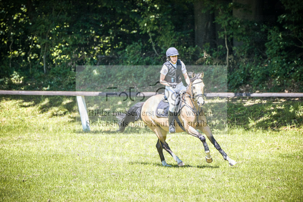 DOS_0976 | Entdecke hochwertige Reitturnierfotos von Foto Oger. Professionell, emotional und authentisch – jetzt Lieblingsmomente im Shop bestellen.Deutschlandweite Turnierfotografie. - Realisiert mit Pictrs.com