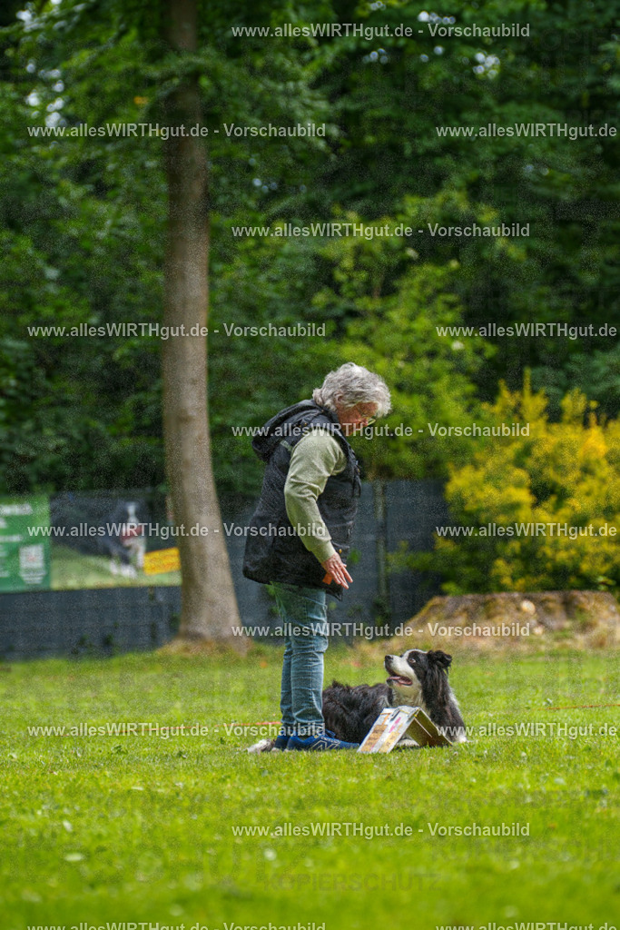 @allesWIRTHgut_Tierfotografie - www.allesWIRTHgut.de - 093819-7R507417 | Professionelle Tierfotografie in Mönchengladbach von Daniel Wirth (allesWIRTHgut). Liebevolle & natürliche Bilder von Hunden & Katzen für unvergessliche Erinnerungen.