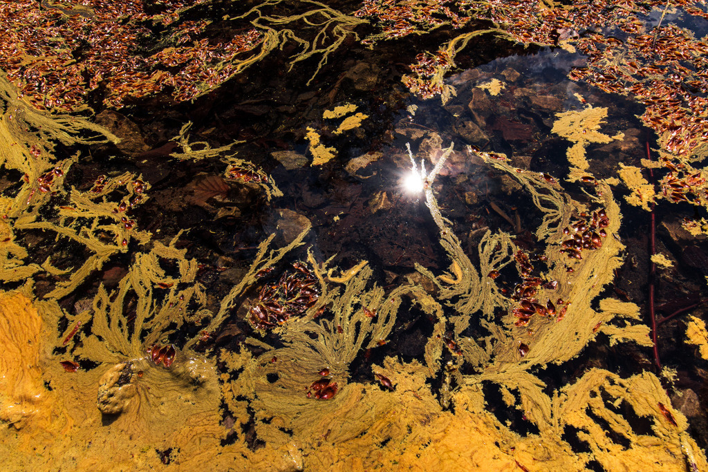 IU2A2315 | ap-design // andreas plenk - Realisiert mit Pictrs.com