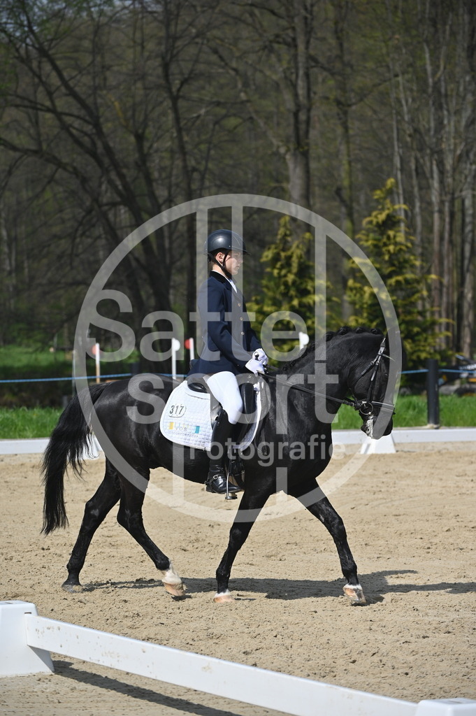 DSC_1185 | sattelsport - Realisiert mit Pictrs.com