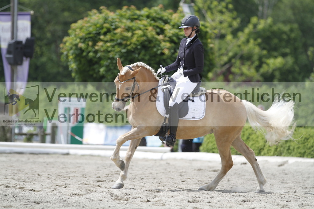 _MG_9519 | equestrian-live-com