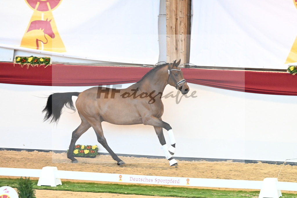 Kat.-Nr. 51 v. Freiherr von Stein_Graditz_2240601 | hf-fotografie - Realisiert mit Pictrs.com