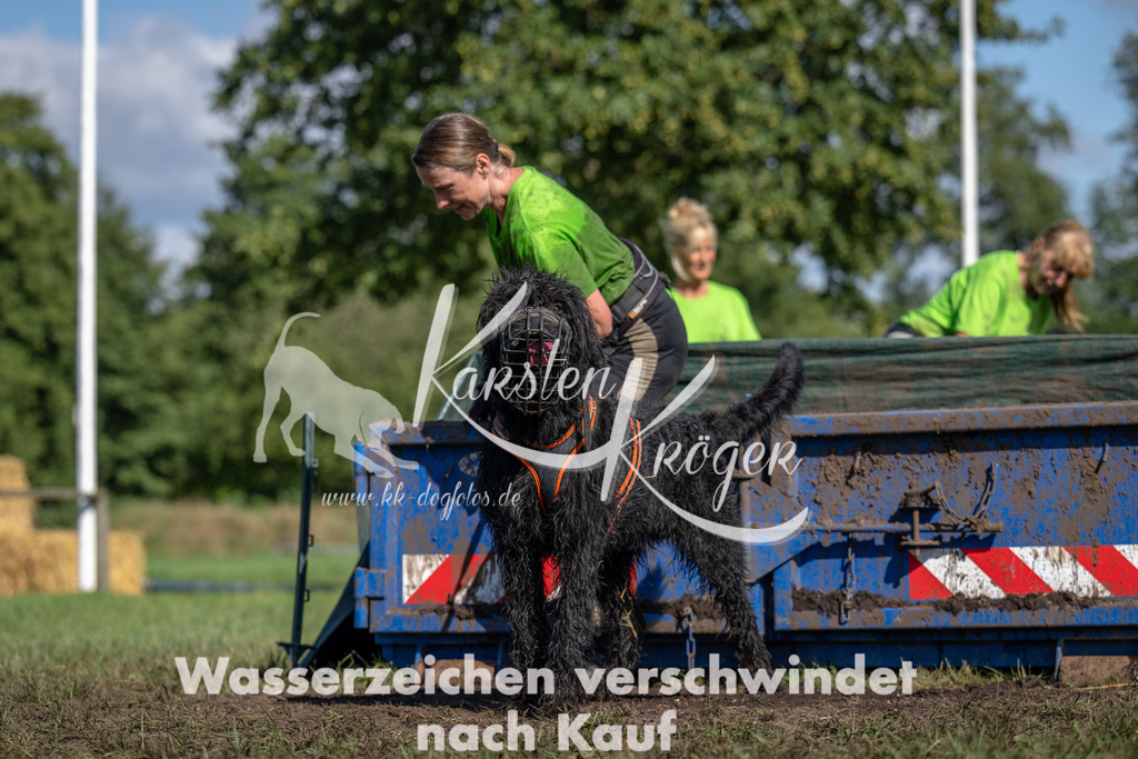 1452_ZZ91535 | kk-dogfotos