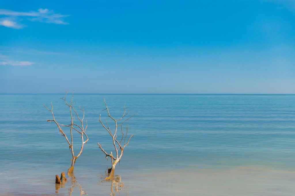 2025_04_16_TRAVEMUENDE_MCP8028 | Hochwertig gedruckte Fotografien für die Wand, als Kalender und zum Verschenken. Hamburg & Norddeutschland und überall wo ich mit der Kamera unterwegs war.
