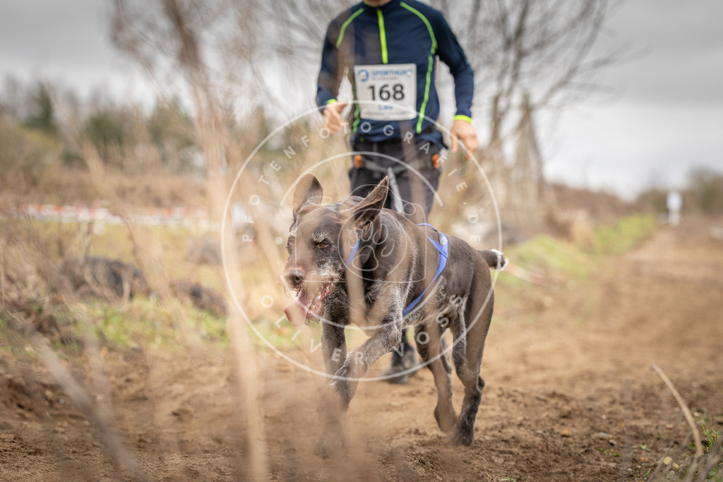 DV3A1917 | Hundefotografie, Tierfotograf, Pfotenfotografie, Fotoshooting Hund, Hunde Portrait, Hundesport, Hundeportraits, Heideshooting, Hunde, Sportfotograf, Hundefotograf, Turnierhundsport, THS,  - Realisiert mit Pictrs.com
