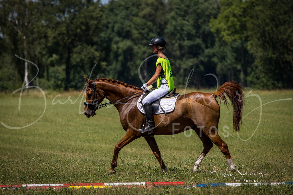 CJP_2026-06-26_33 | Stimmungsvolle Fotografie von Pferden, fotografische Begleitung von Veranstaltungen, Golfturnieren und Distanzritten - Realisiert mit Pictrs.com