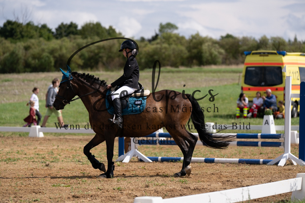 A7V03100 | Pferdefotograf