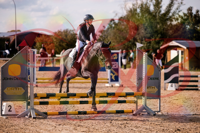 2026_10_03_Siefer-Hof_154911_Z81_67550821 | Professionelle Reitsport-, Turnier- und Eventfotografie von Robert Broda. Galerien mit ausgewählten und bearbeiteten Bildern direkt online ansehen und bestellen.