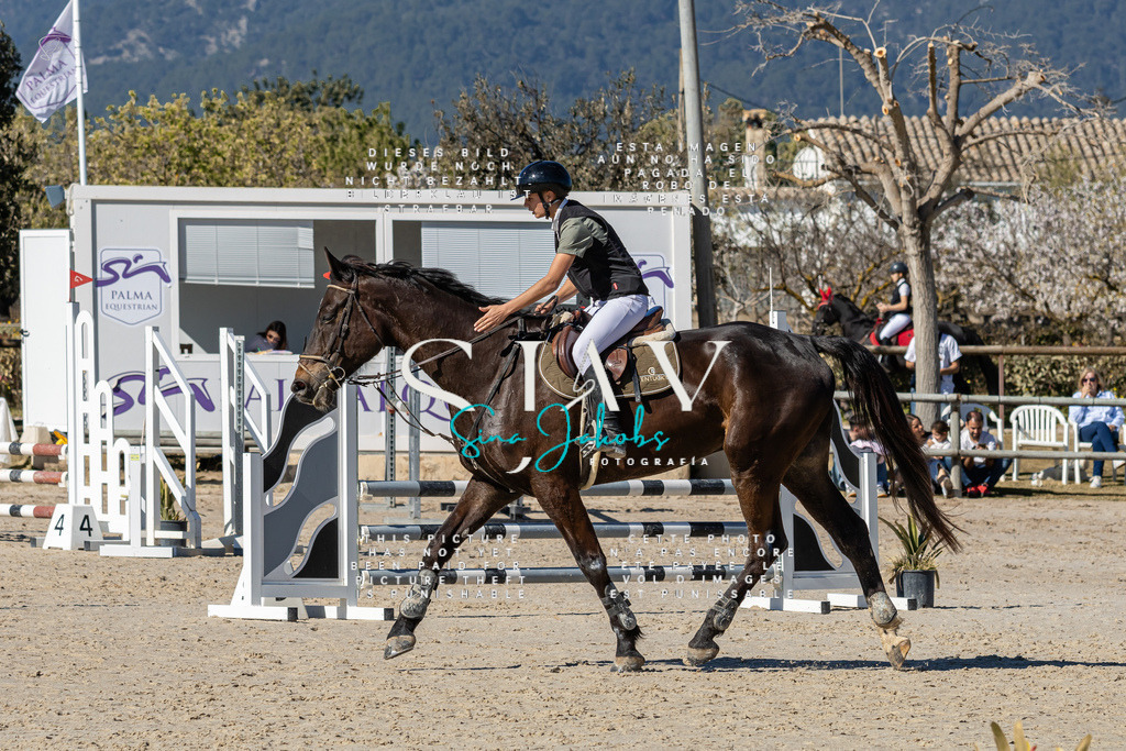 IMG_8995 | s-jay-photography - Realisiert mit Pictrs.com