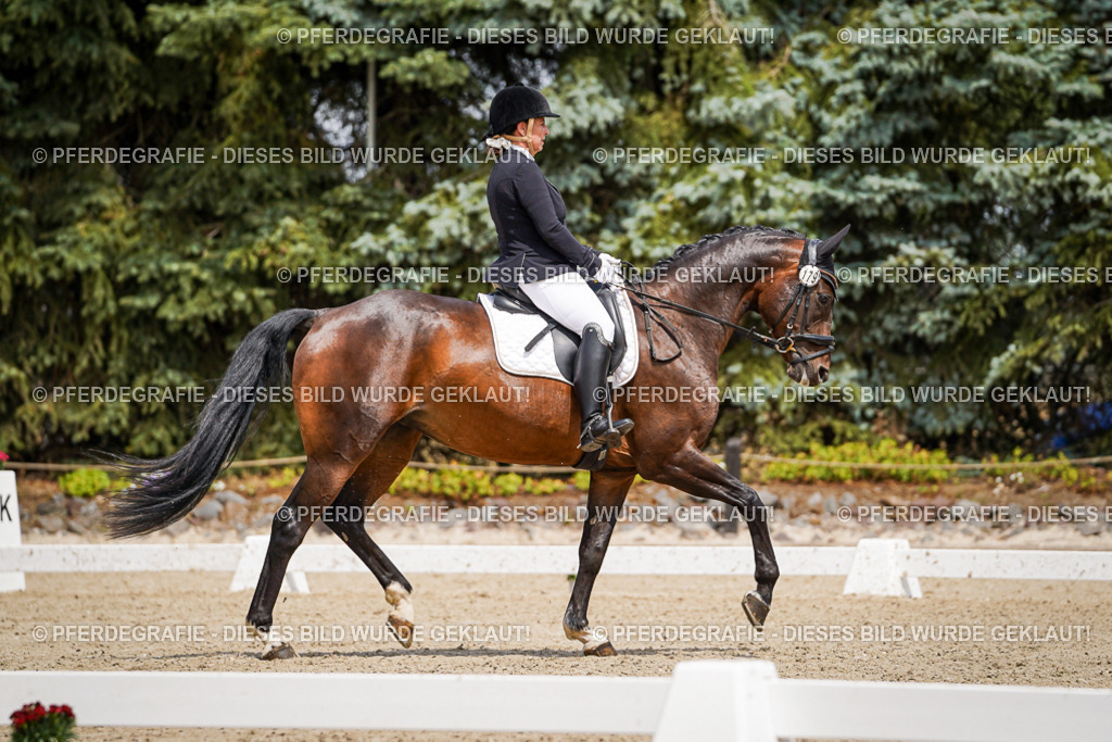 DSC02091 | Pferdegrafie