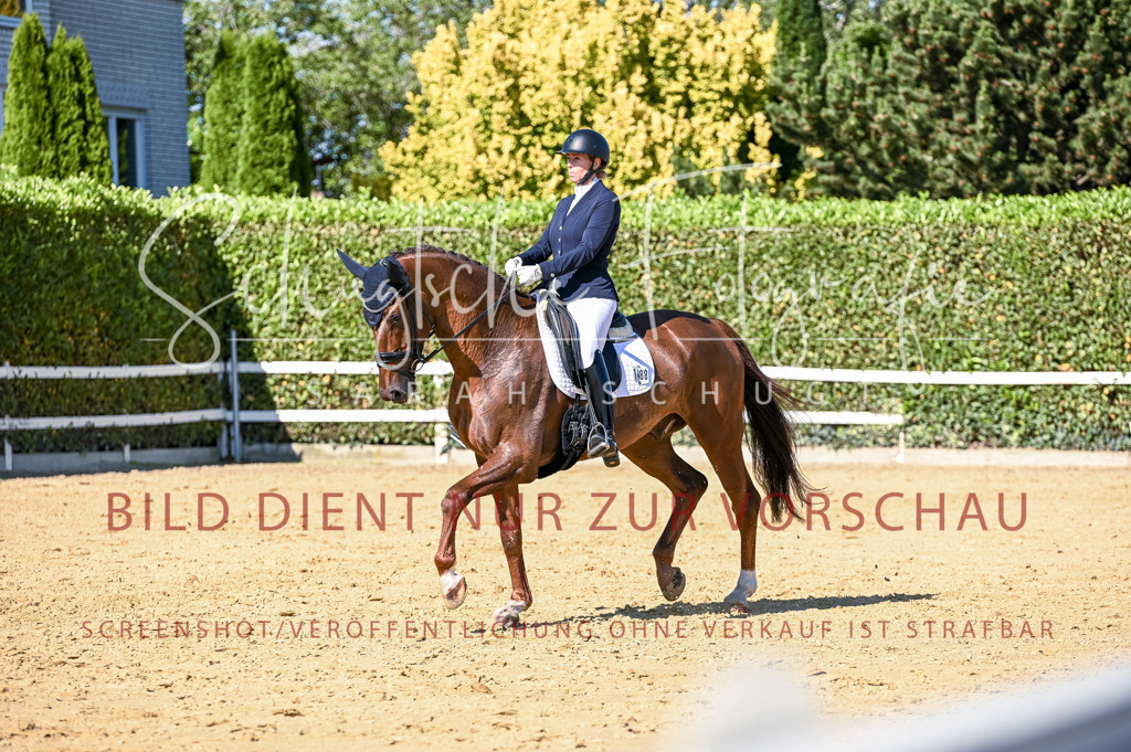 Schugtsche-Aluta25-50.Dressurpferdeprf.L-215 | Schugtsche Fotografie - Realisiert mit Pictrs.com