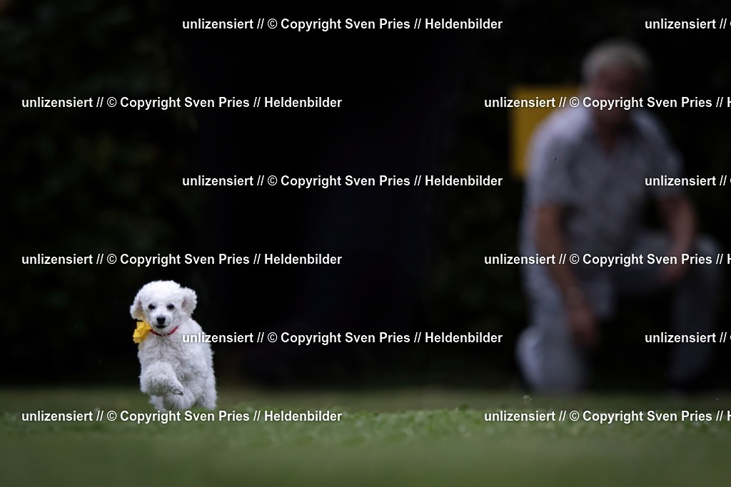 Sven Pries | 19. Allgemeines Hunderennen Karlsruhe Durlach - Realisiert mit Pictrs.com