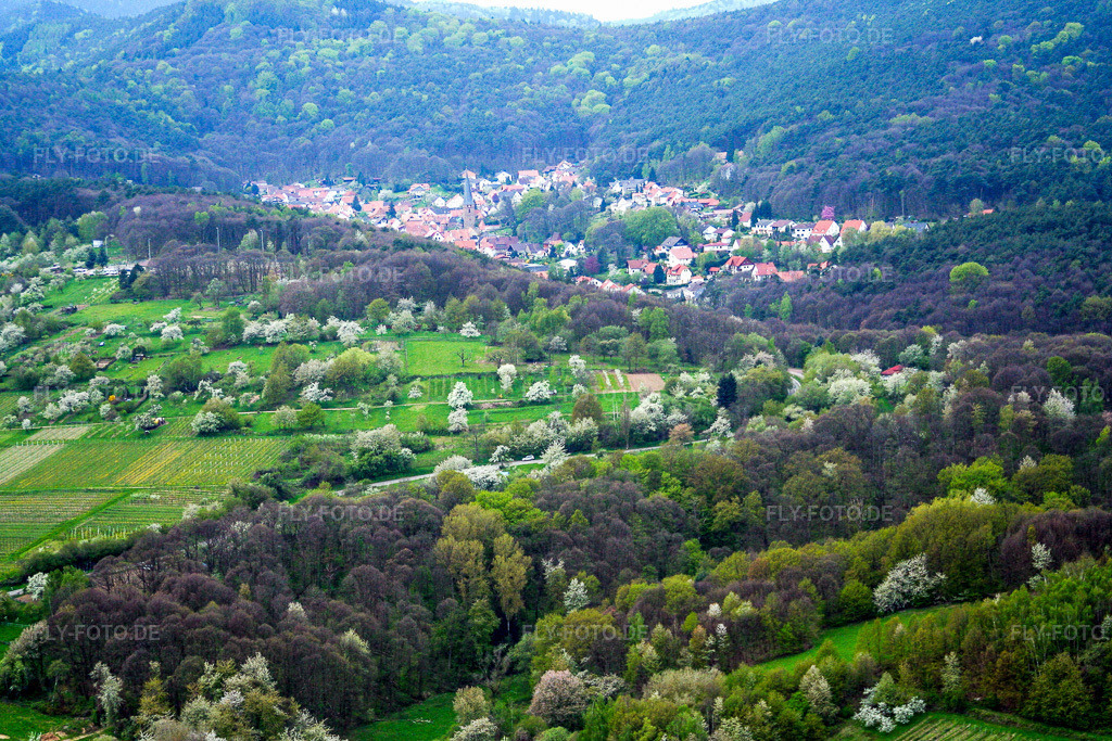 Luftbild: landwirtschaftlichen Feldern und Nutzflächen in Dörrenbach im Bundesland Rheinland-Pfalz in Deutschland. Foto: IMG_1716.jpg vom 01.05.2006 durch Werner Riehm/FLY-FOTO.de