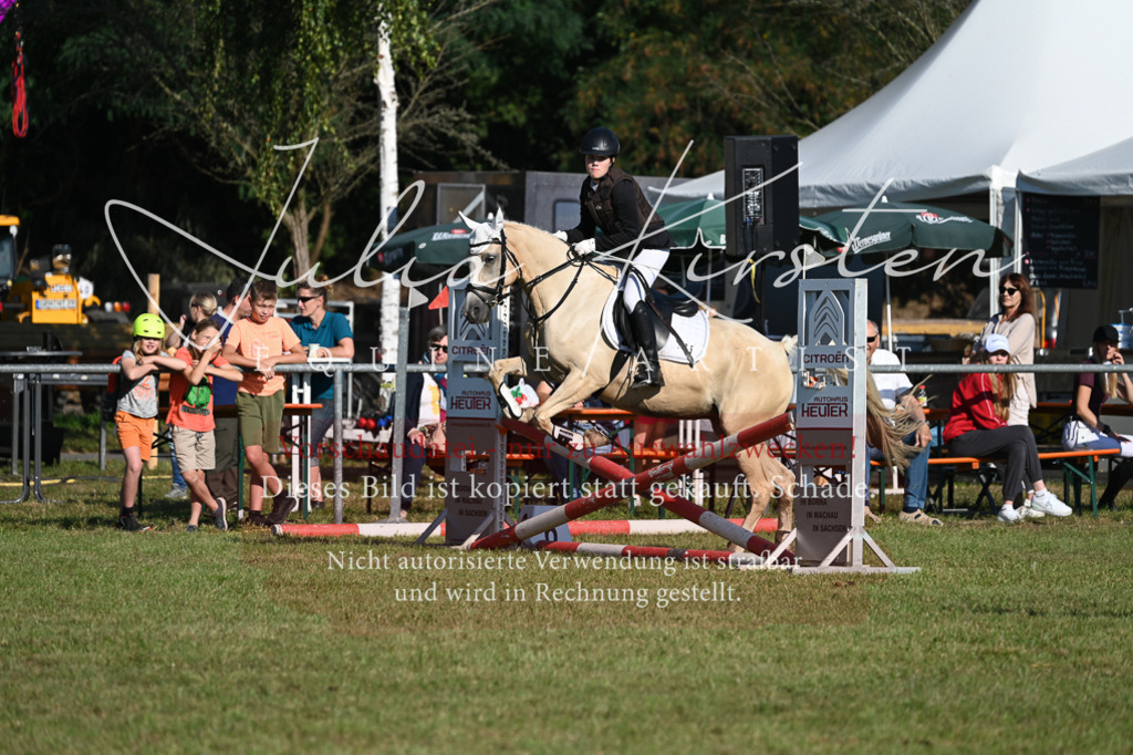 DSC_5041 | Pferde- und Turnierfotografie in Westsachsen. Pferdeportraits, Auftragszeichnungen und intuitive Kunst.