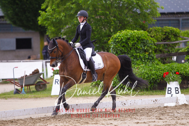 DKP40220 | Turniersportfotografie; Pferdefotografie; Dressurfotografie