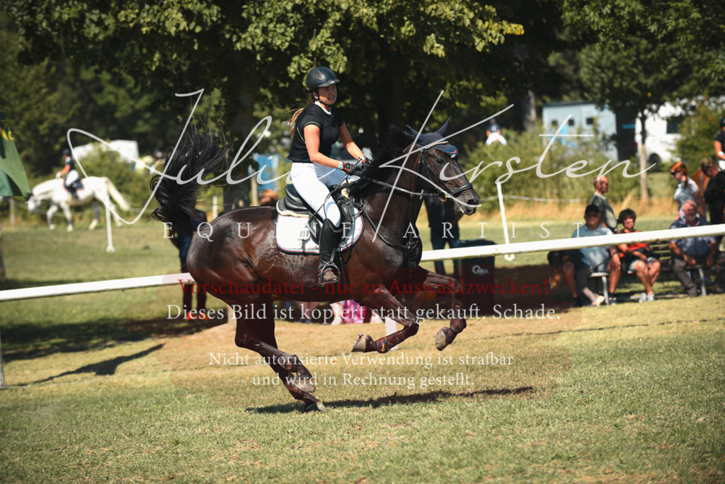 DSC_7070 | Pferde- und Turnierfotografie in Westsachsen. Pferdeportraits, Auftragszeichnungen und intuitive Kunst.