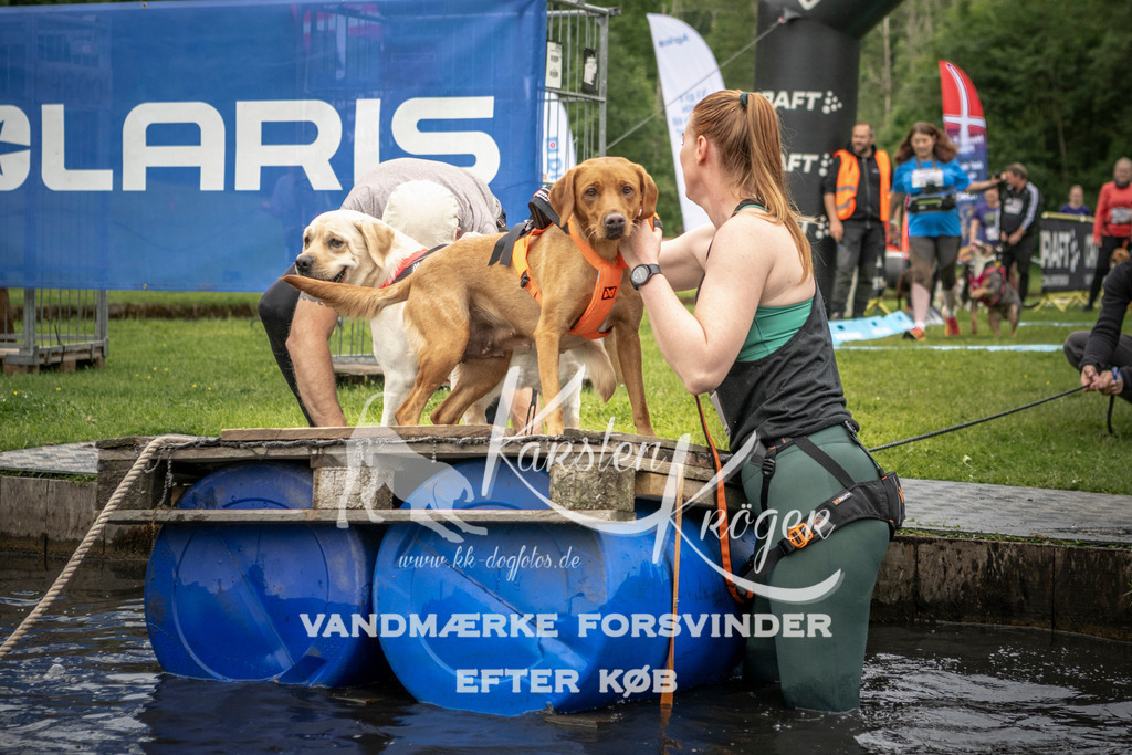 1007_ZZ94371 | kk-dogfotos