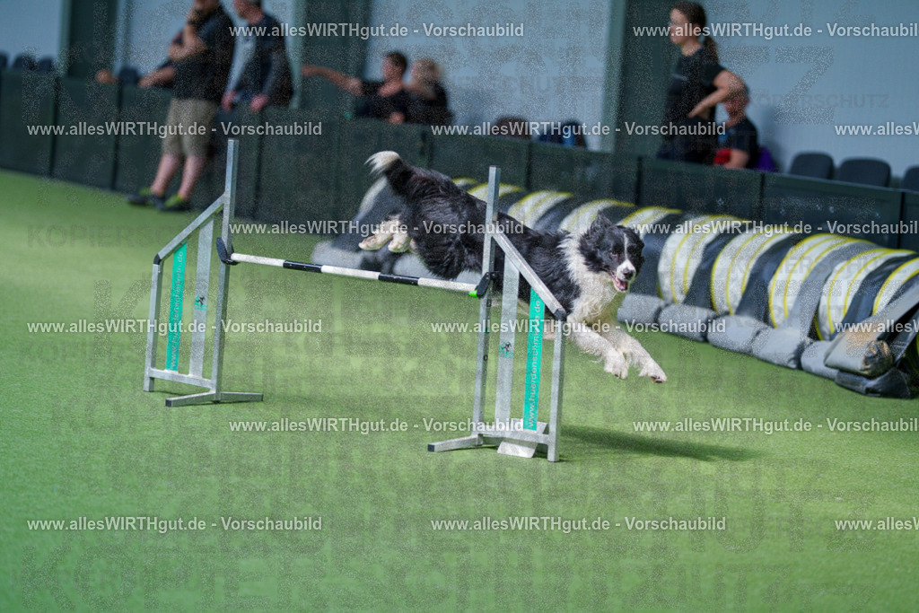 @allesWIRTHgut_Tierfotografie - www.allesWIRTHgut.de - 2604261407-7R503504 | Professionelle Tierfotografie in Mönchengladbach von Daniel Wirth (allesWIRTHgut). Liebevolle & natürliche Bilder von Hunden & Katzen für unvergessliche Erinnerungen.