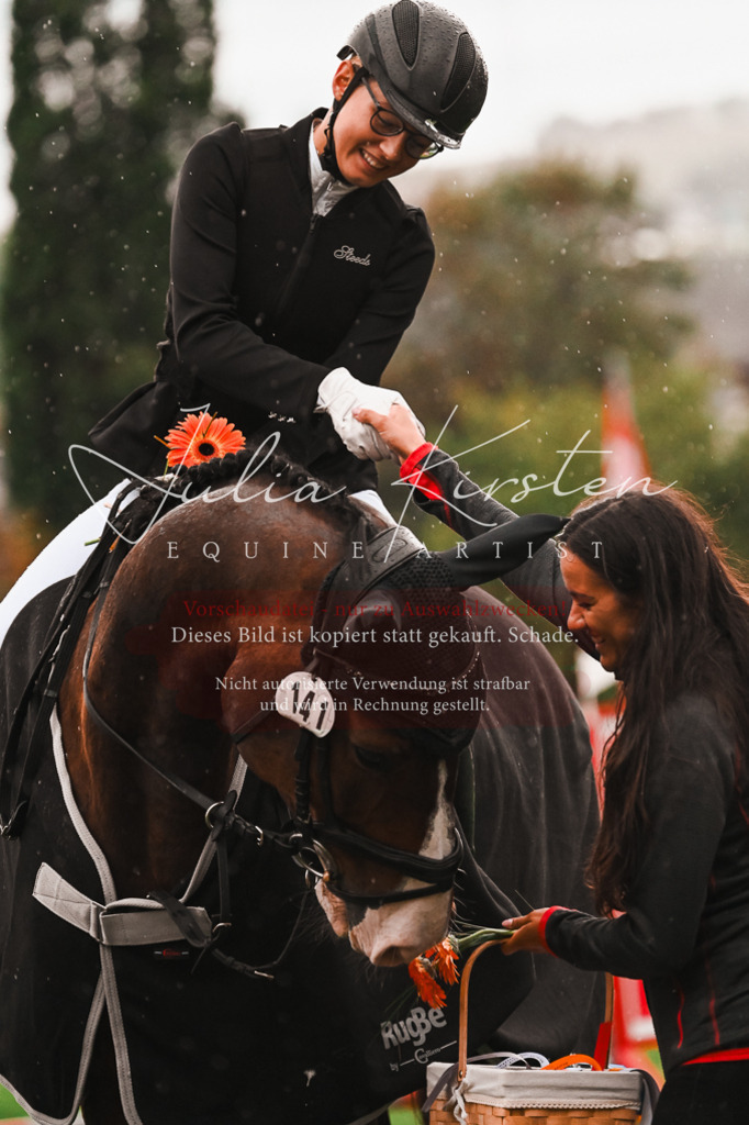 DSC_6204 | Pferde- und Turnierfotografie in Westsachsen. Pferdeportraits, Auftragszeichnungen und intuitive Kunst.