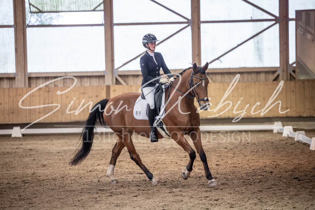20251011-_3LI2024 | Tierfotografie Pferde, Hunde, Katzen, Haustiere.
Turnierfotografie Reitturniere, Reiten, Springreiten, Dressur in Hanau, dem Main-Kinzig-Kreis und dem Rhein-Main- Gebiet um Frankfurt