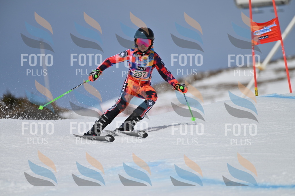 BGV_5917 | holidayphoto