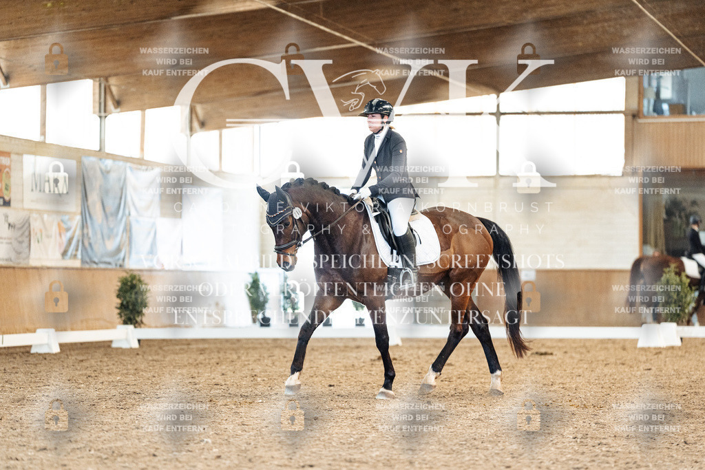 CK908505 | Turnierfotografie Pferdefotografie Trier Rheinland-Pfalz Pferdesport Reitsport Tierfotografie Sportfotografie Pferdevideo Pferdevideografie Equestrianvideography equestrianphotography  - Realisiert mit Pictrs.com