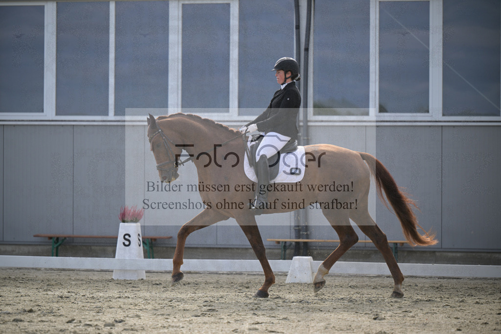 DOS_2552 | Entdecke hochwertige Reitturnierfotos von Foto Oger. Professionell, emotional und authentisch – jetzt Lieblingsmomente im Shop bestellen.Deutschlandweite Turnierfotografie. - Realisiert mit Pictrs.com