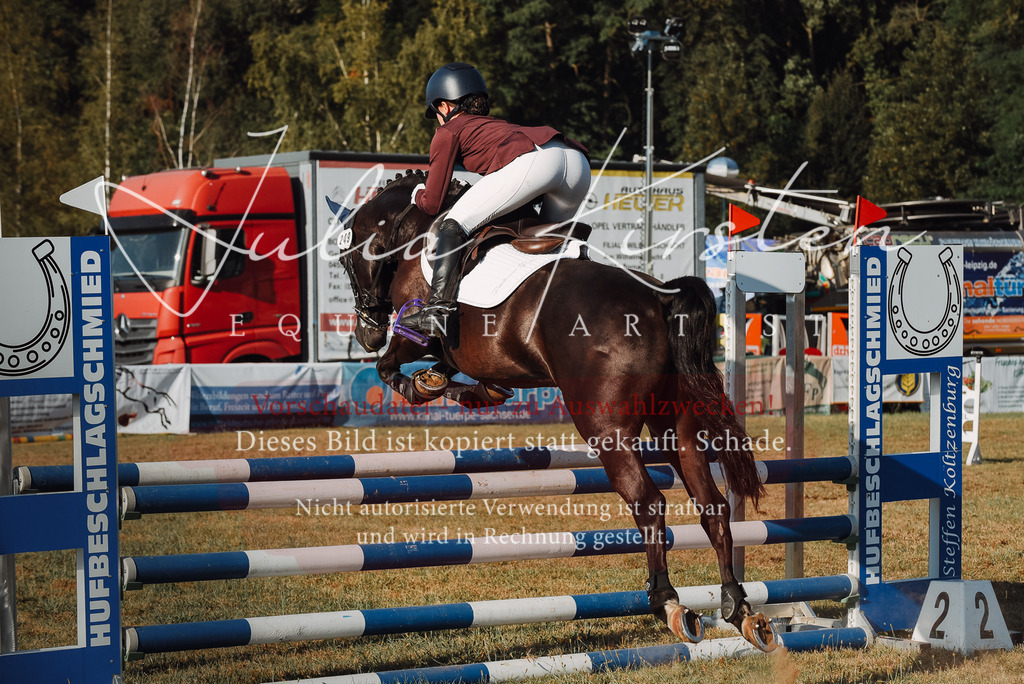 DSC_5073 | Pferde- und Turnierfotografie in Westsachsen. Pferdeportraits, Auftragszeichnungen und intuitive Kunst.