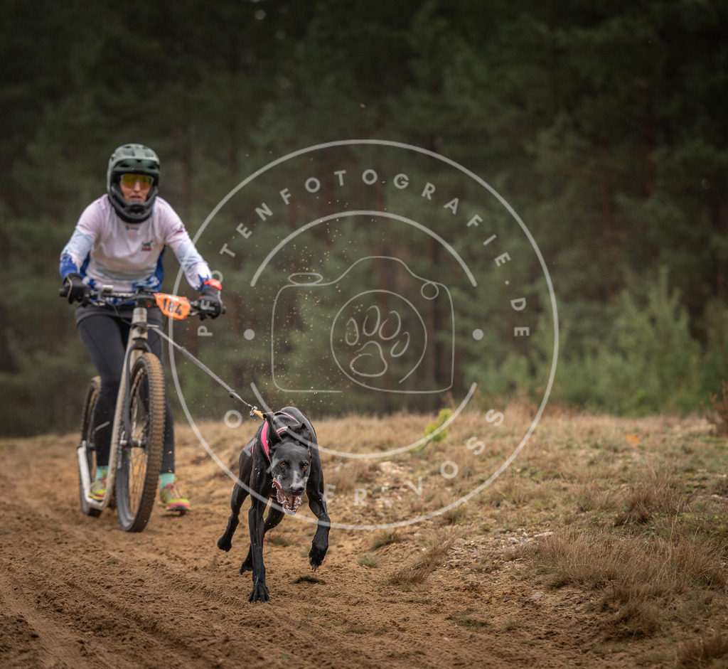Pfotenfotografie_DV3A4769 | Hundefotografie, Tierfotograf, Pfotenfotografie, Fotoshooting Hund, Hunde Portrait, Hundesport, Hundeportraits, Heideshooting, Hunde, Sportfotograf, Hundefotograf, Turnierhundsport, THS,  - Realisiert mit Pictrs.com